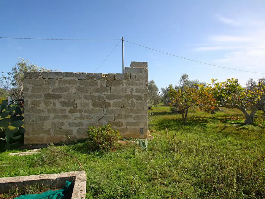 Immagine 12 di Terreno in vendita  in Strada Vicinale Mimmo a Matino