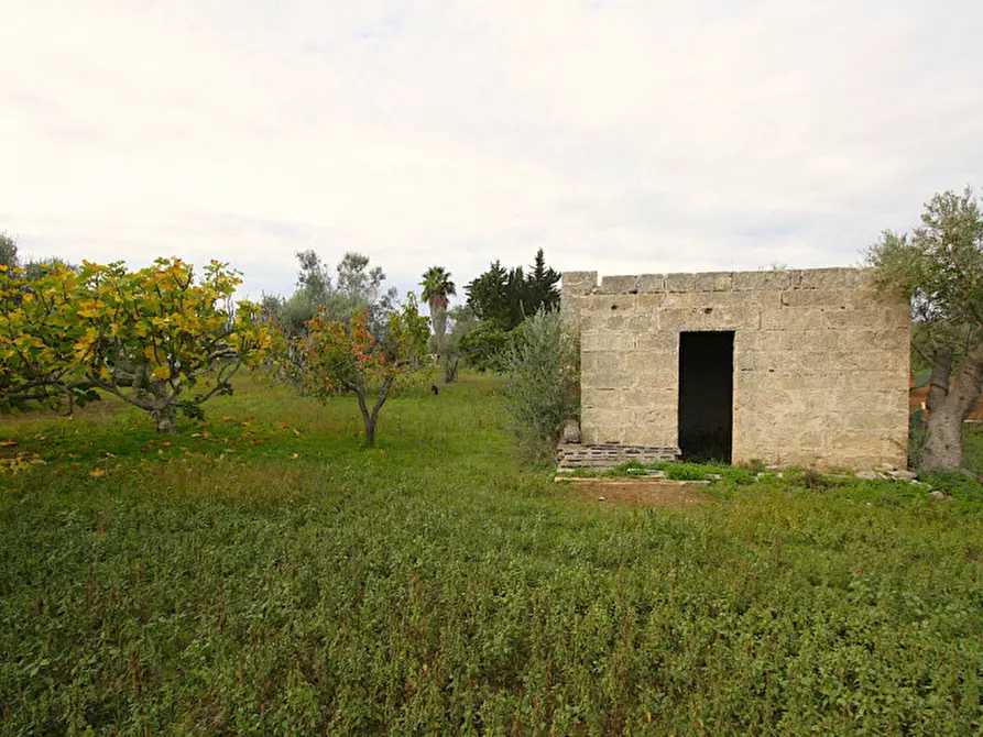 Immagine 21 di Terreno in vendita  in Strada Vicinale Mimmo a Matino