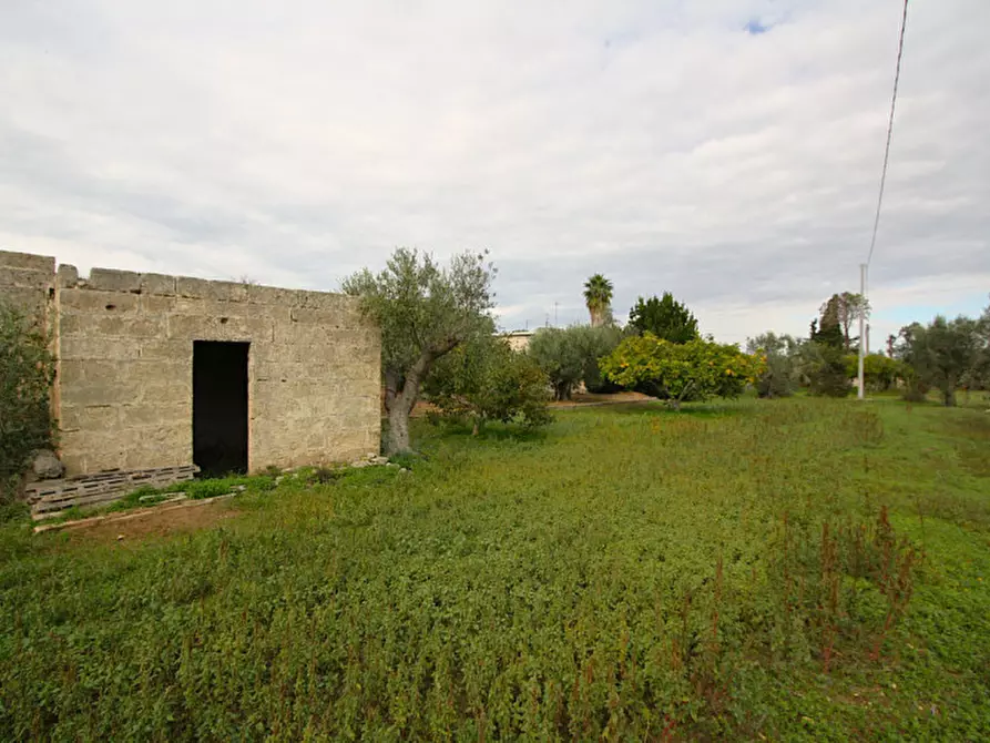 Immagine 22 di Terreno in vendita  in Strada Vicinale Mimmo a Matino
