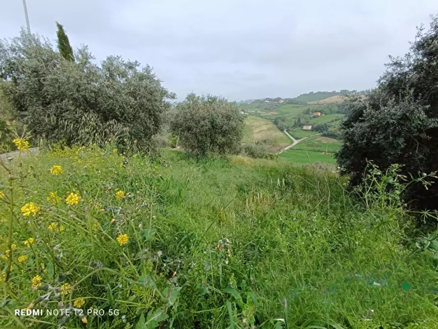 Immagine 3 di Terreno in vendita  in CONTRADA PACE a Macerata