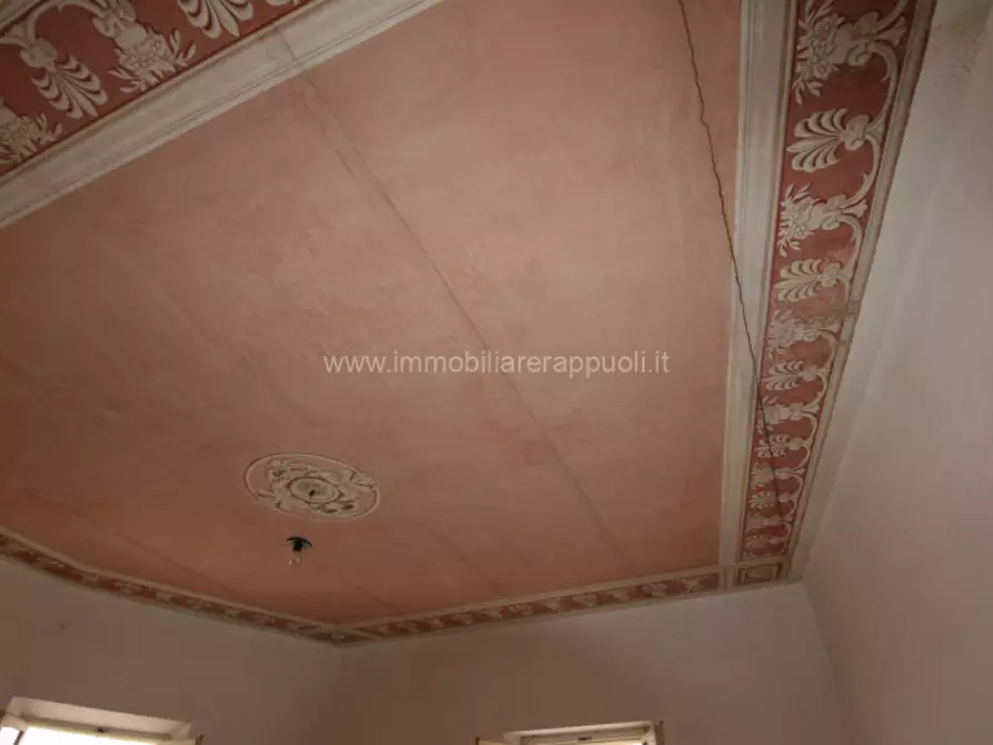 Immagine 19 di Appartamento in vendita  a Sinalunga