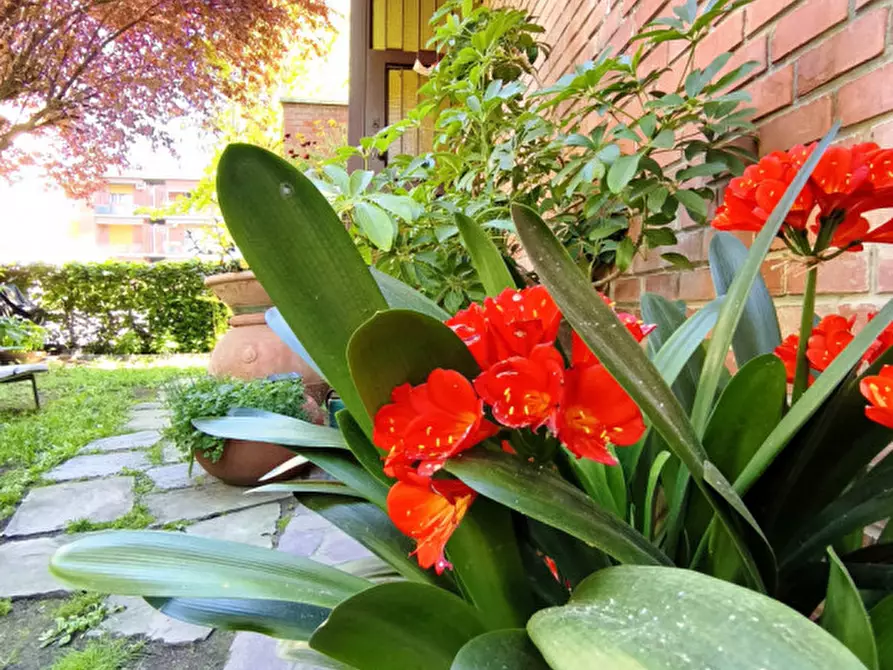 Immagine 53 di Villa in vendita  in Via Gorizia a San Lazzaro Di Savena