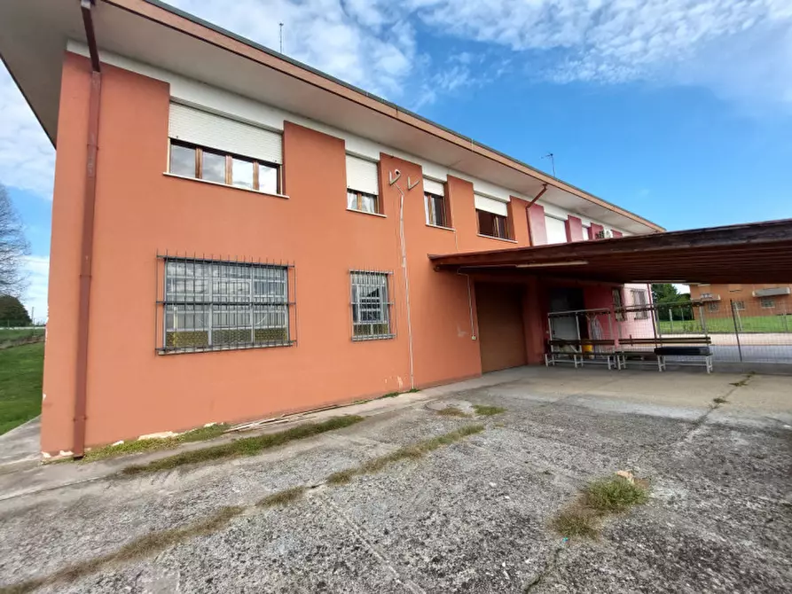 Immagine 1 di Casa bifamiliare in vendita  a Lendinara