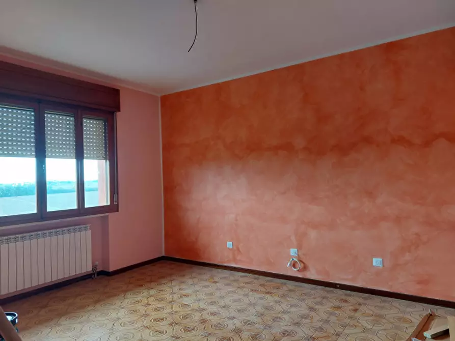 Immagine 5 di Casa bifamiliare in vendita  a Lendinara