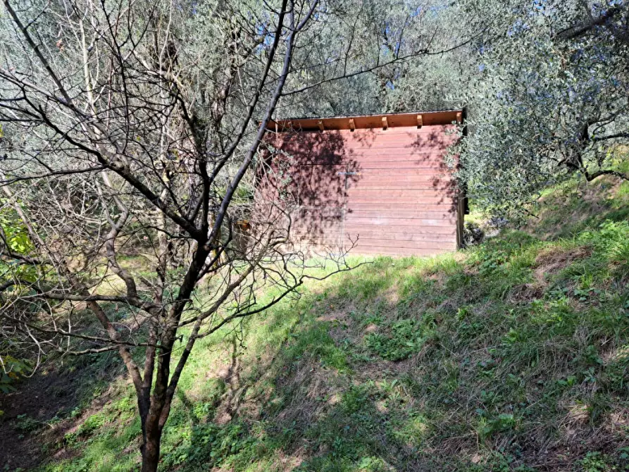 Immagine 7 di Terreno in vendita  in Via Monte Zugna a Arco