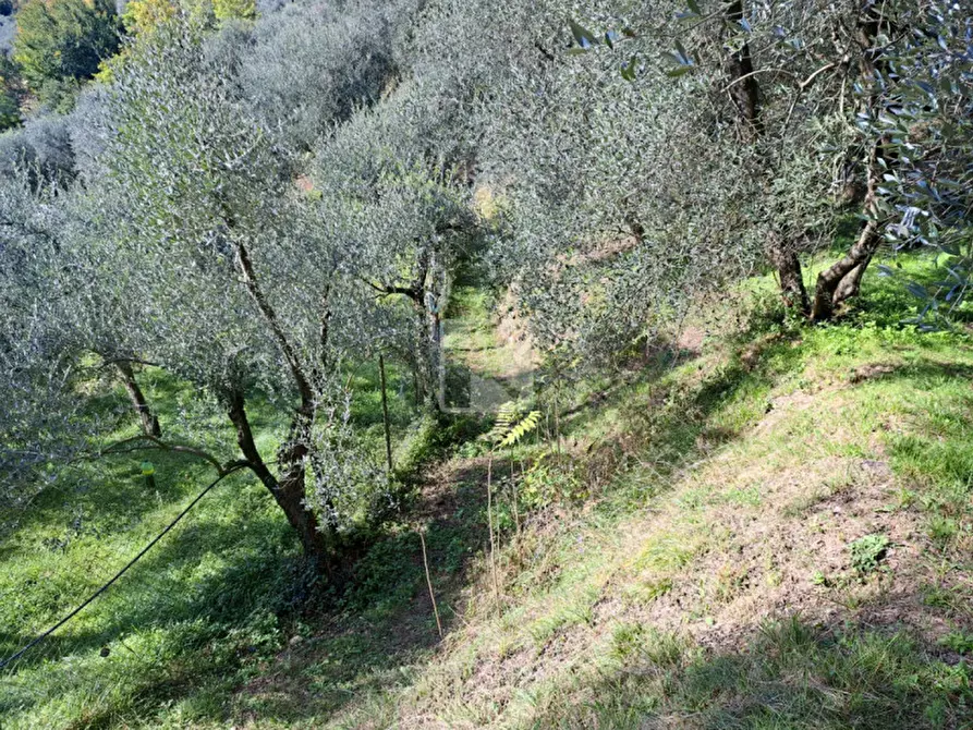 Immagine 9 di Terreno in vendita  in Via Monte Zugna a Arco
