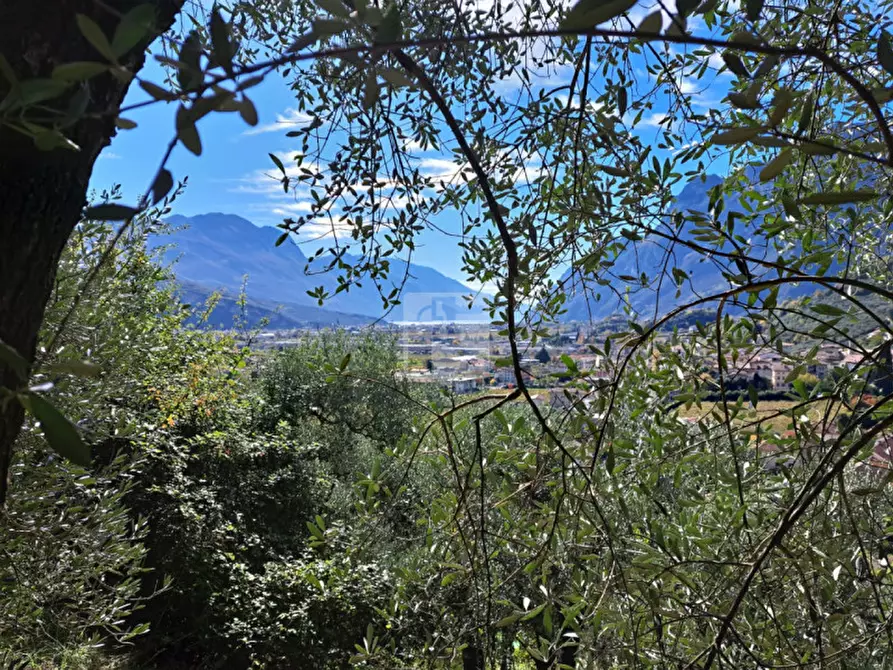 Immagine 11 di Terreno in vendita  in Via Monte Zugna a Arco