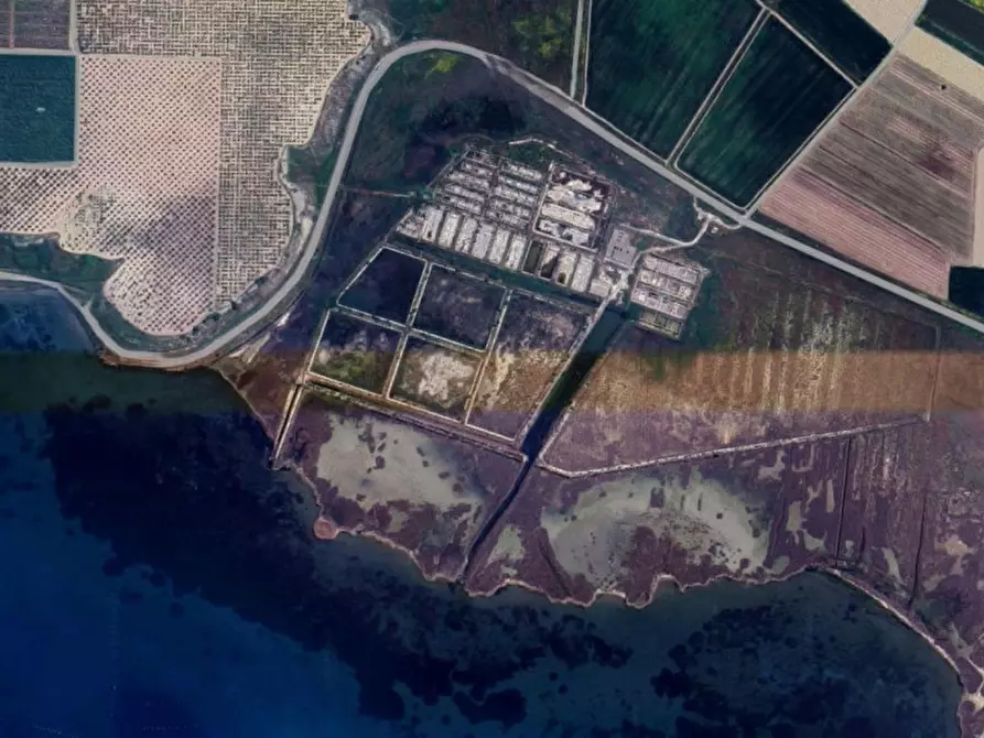 Immagine 2 di Terreno in vendita  in S.P. 78 Taranto, N. snc a Taranto