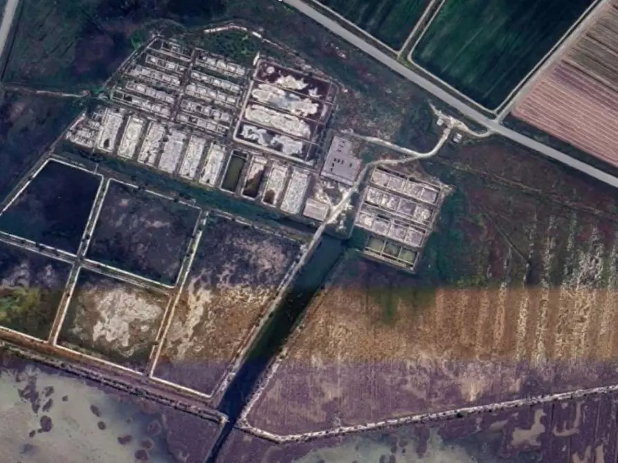 Immagine 4 di Terreno in vendita  in S.P. 78 Taranto, N. snc a Taranto