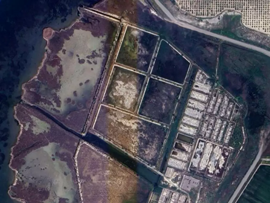 Immagine 6 di Terreno in vendita  in S.P. 78 Taranto, N. snc a Taranto