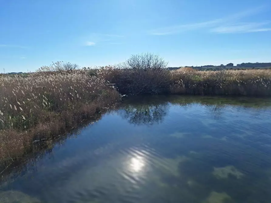 Immagine 26 di Terreno in vendita  in SP78, Taranto TA, Italia a Taranto