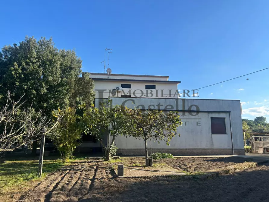 Immagine 16 di Casa indipendente in vendita  in pucciarelli a Castiglione Del Lago