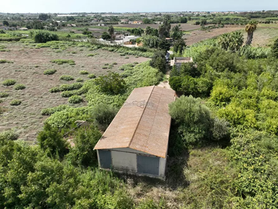 Immagine 7 di Casa indipendente in vendita  in Contrada Pantano Pasquarelli a Ispica