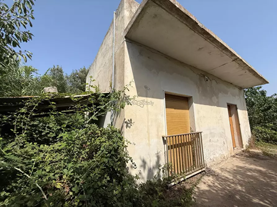 Immagine 9 di Casa indipendente in vendita  in Contrada Pantano Pasquarelli a Ispica