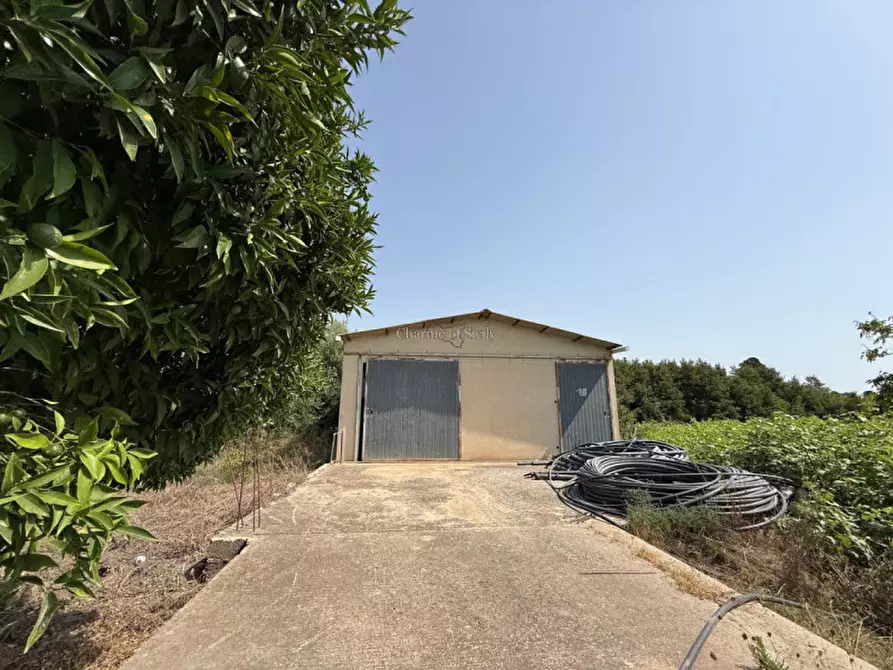 Immagine 11 di Casa indipendente in vendita  in Contrada Pantano Pasquarelli a Ispica