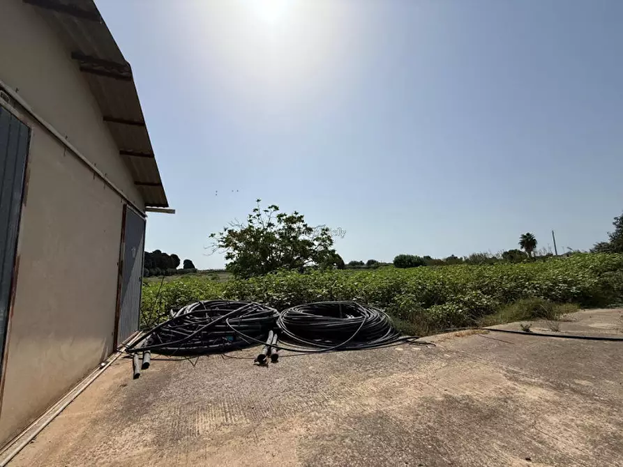 Immagine 13 di Casa indipendente in vendita  in Contrada Pantano Pasquarelli a Ispica