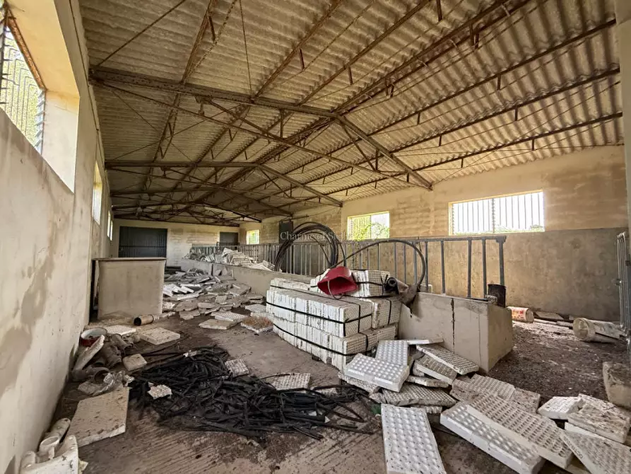 Immagine 14 di Casa indipendente in vendita  in Contrada Pantano Pasquarelli a Ispica