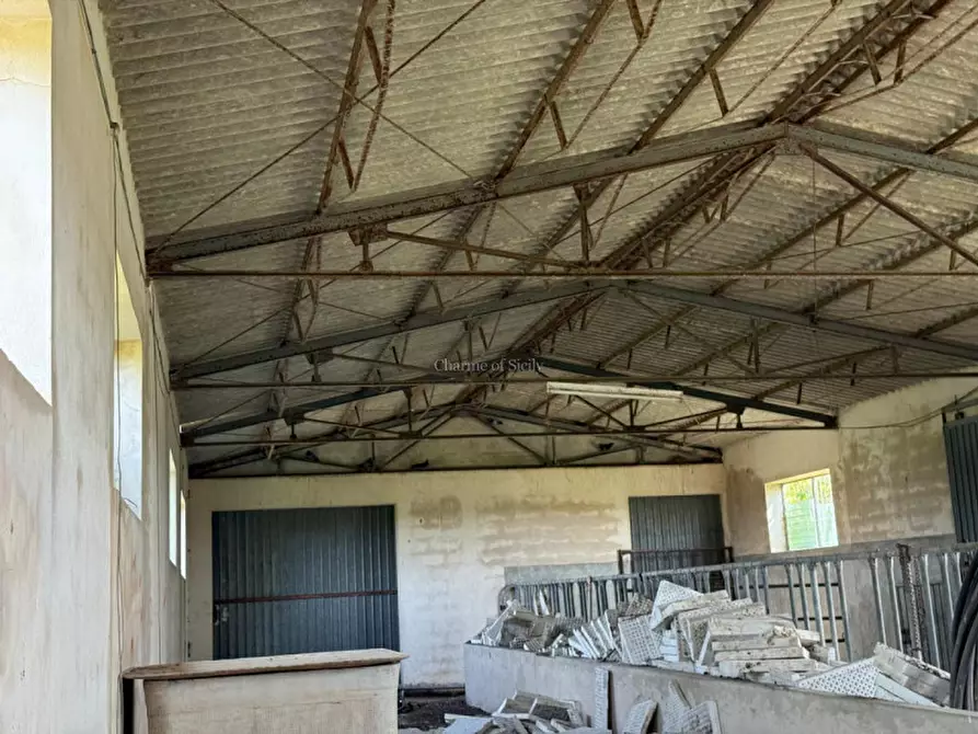 Immagine 15 di Casa indipendente in vendita  in Contrada Pantano Pasquarelli a Ispica