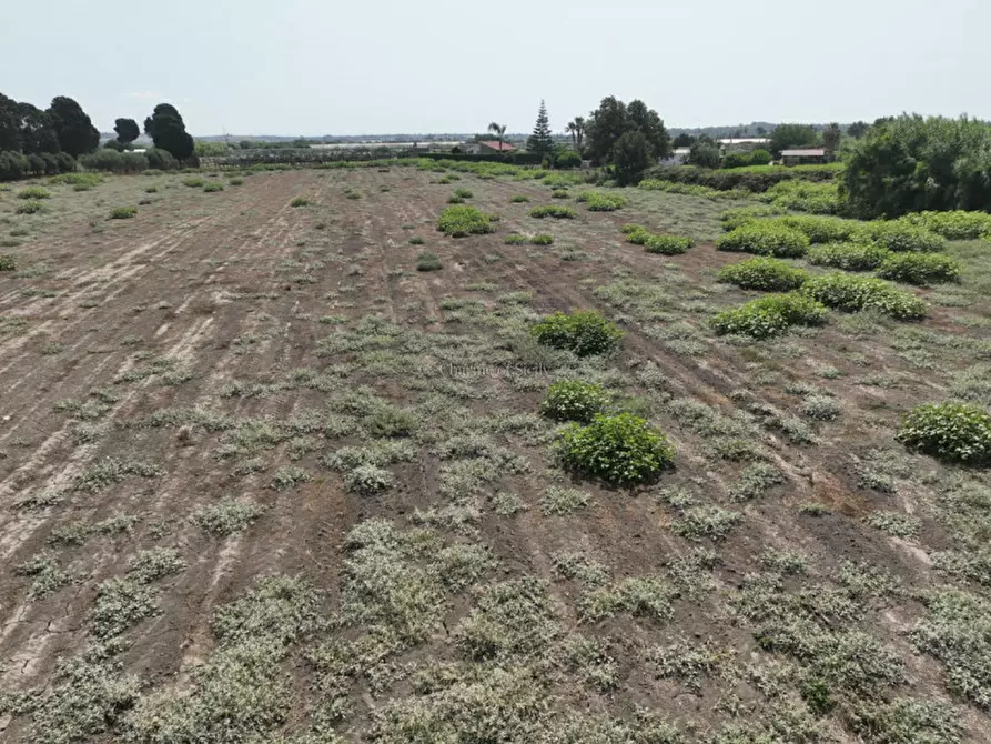 Immagine 24 di Casa indipendente in vendita  in Contrada Pantano Pasquarelli a Ispica