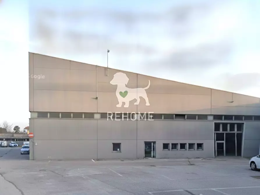 Immagine 6 di Capannone industriale in vendita  in Via Adriatica a Udine