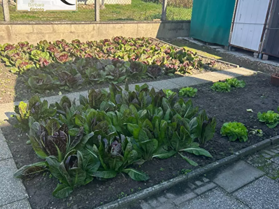 Immagine 17 di Casa bifamiliare in vendita  a Piacenza D'adige