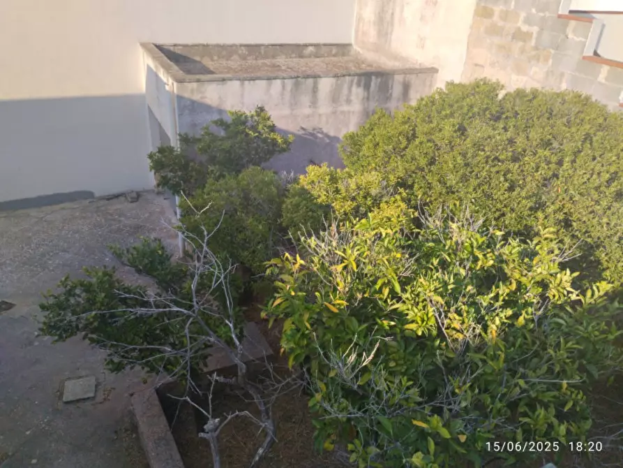 Immagine 6 di Casa indipendente in vendita  in Via Giuseppe Mazzini a Presicce-Acquarica