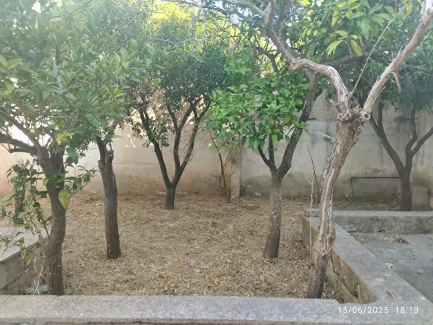 Immagine 13 di Casa indipendente in vendita  in Via Giuseppe Mazzini a Presicce-Acquarica