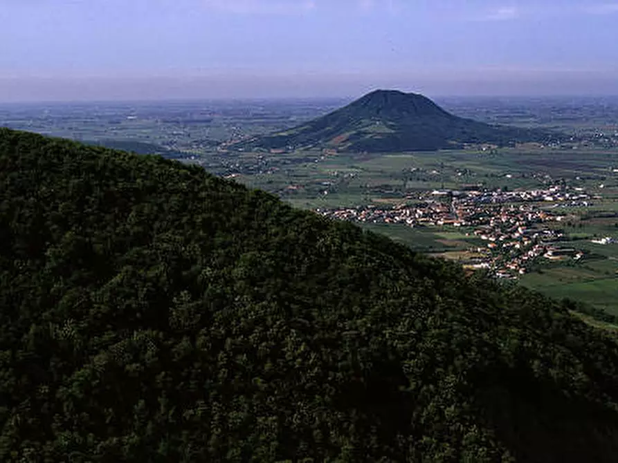 Immagine 1 di Attività commerciale in vendita  a Monselice