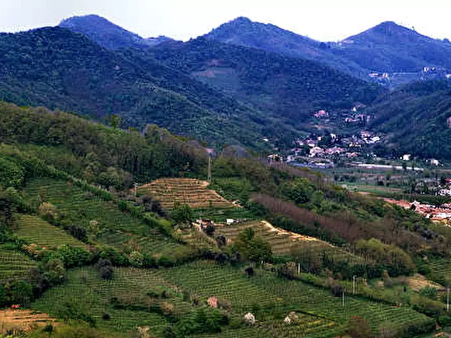 Immagine 2 di Attività commerciale in vendita  a Monselice