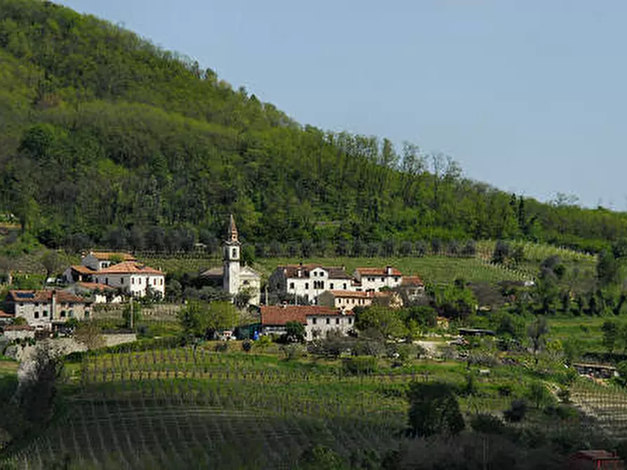 Immagine 3 di Attività commerciale in vendita  a Monselice