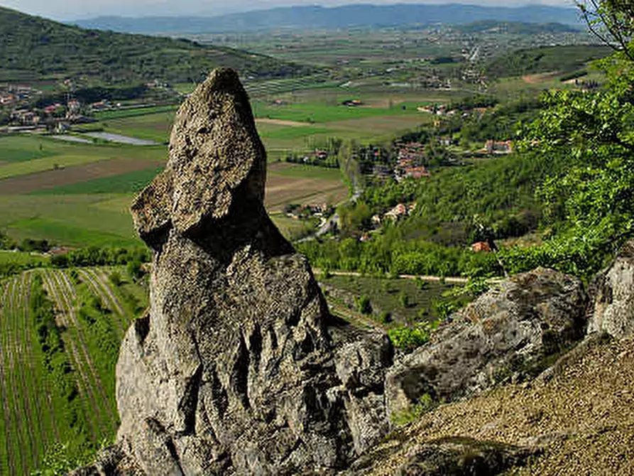 Immagine 4 di Attività commerciale in vendita  a Monselice