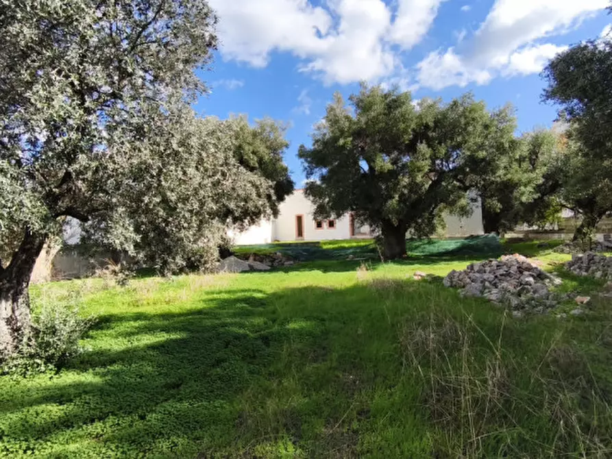 Immagine 19 di Casa indipendente in vendita  in Sp 93 a Fasano