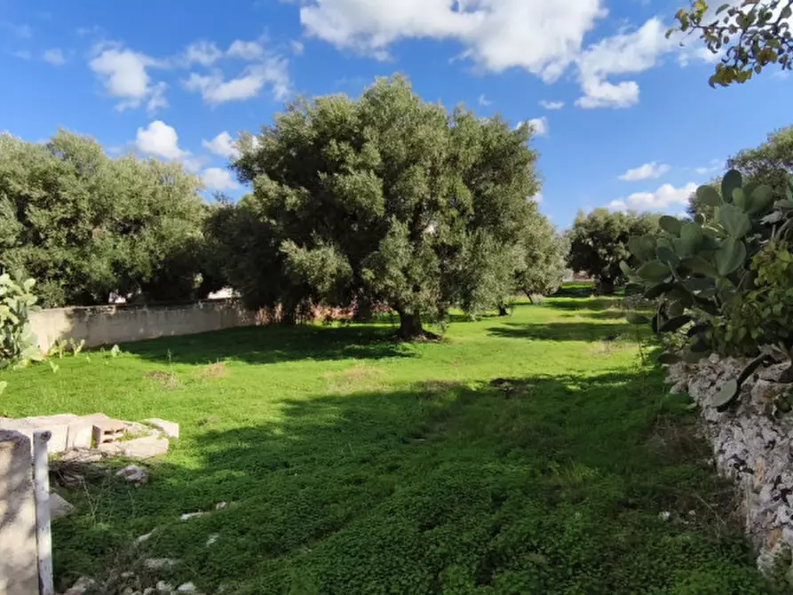 Immagine 20 di Casa indipendente in vendita  in Sp 93 a Fasano