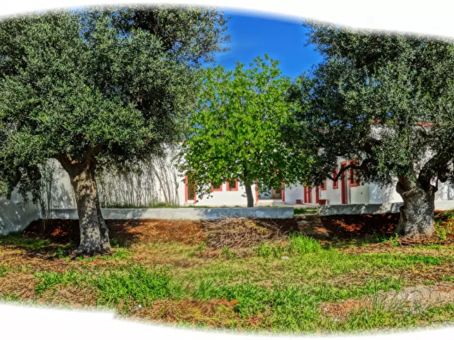 Immagine 22 di Casa indipendente in vendita  in Sp 93 a Fasano