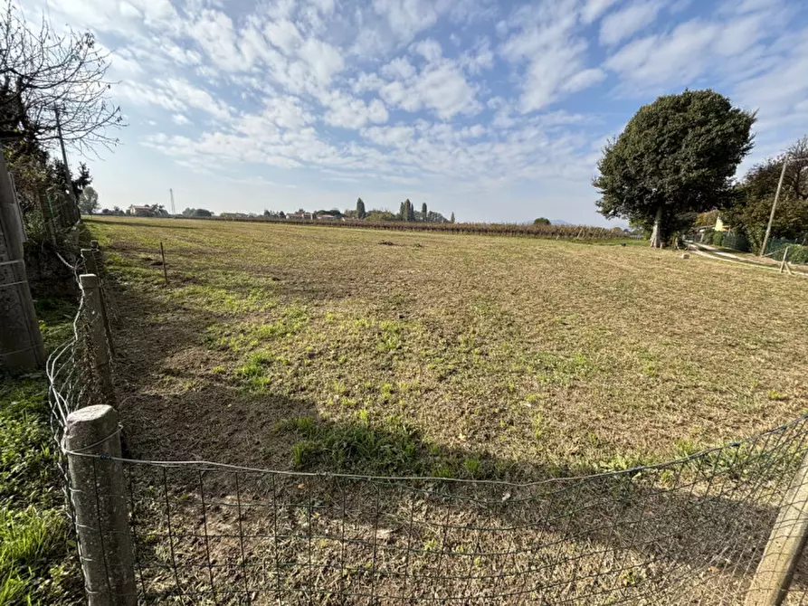 Immagine 2 di Terreno in vendita  a Conselve