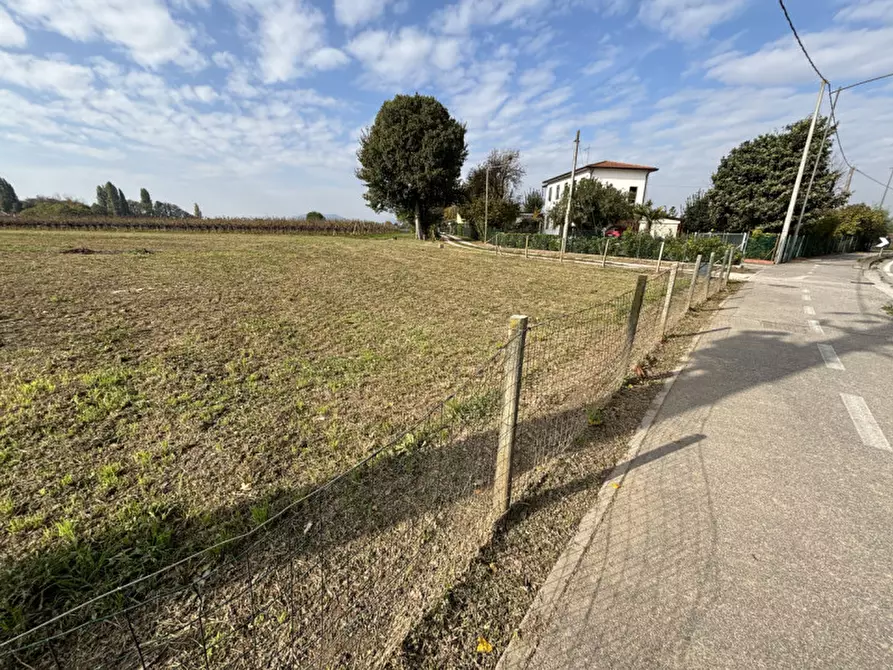 Immagine 3 di Terreno in vendita  a Conselve