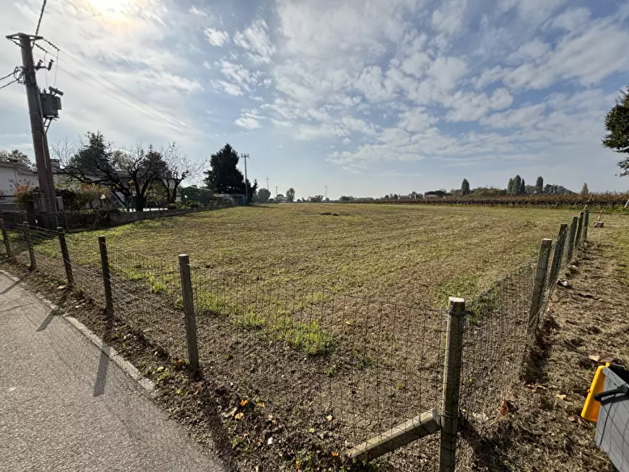 Immagine 4 di Terreno in vendita  a Conselve