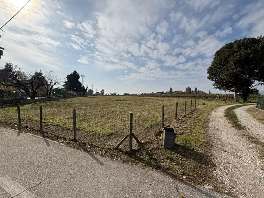 Immagine 5 di Terreno in vendita  a Conselve