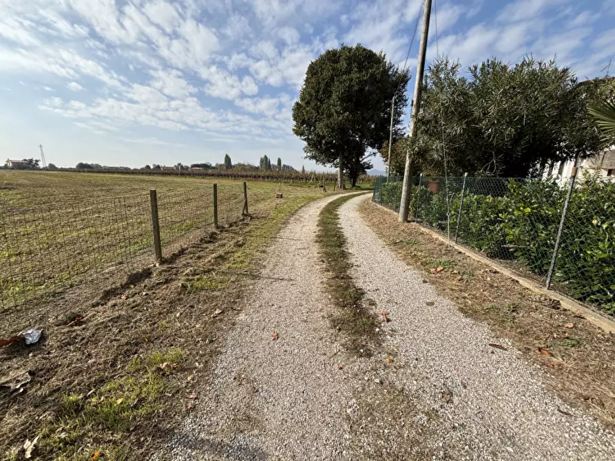 Immagine 6 di Terreno in vendita  a Conselve