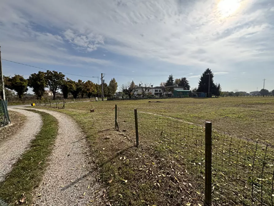 Immagine 8 di Terreno in vendita  a Conselve