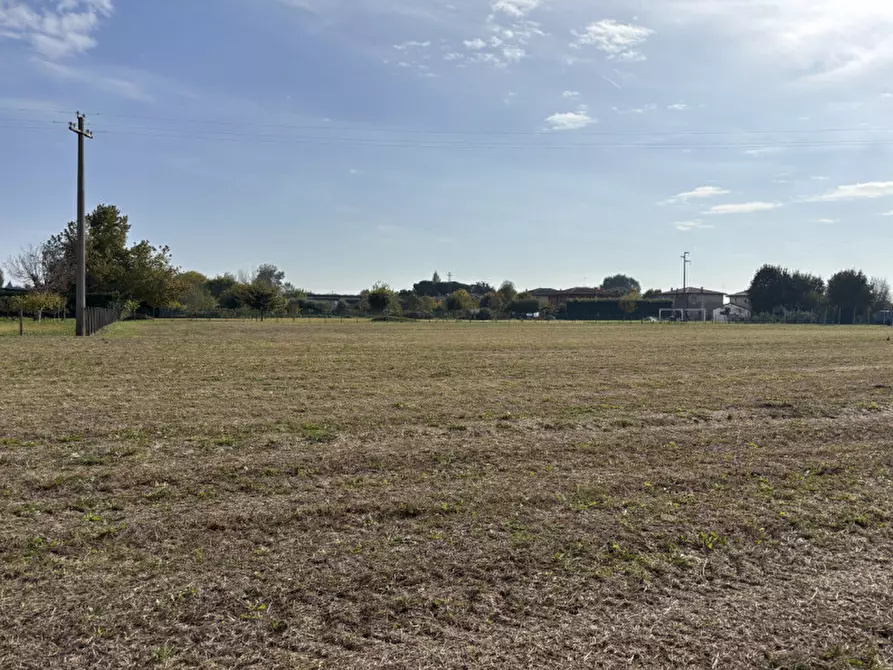 Immagine 9 di Terreno in vendita  a Conselve