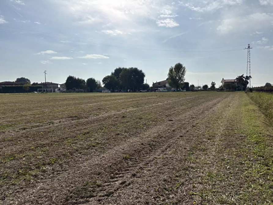 Immagine 10 di Terreno in vendita  a Conselve