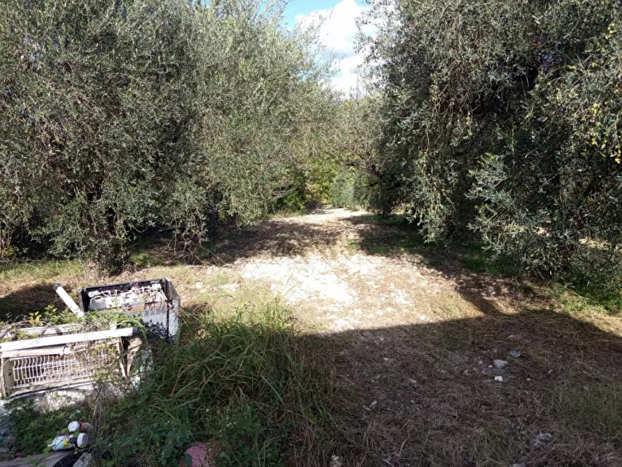 Immagine 4 di Rustico / casale in vendita  in Via Val Nerina a Mentana