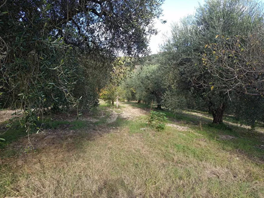 Immagine 7 di Rustico / casale in vendita  in Via Val Nerina a Mentana