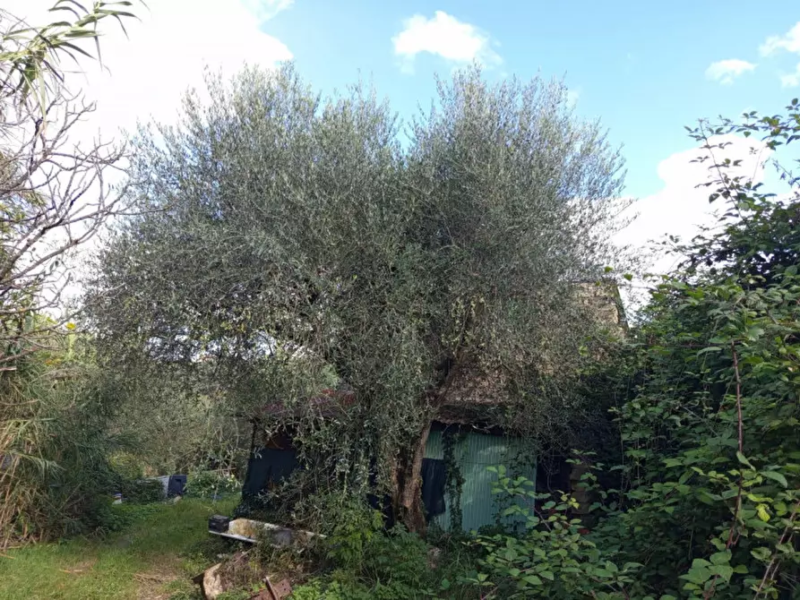 Immagine 10 di Rustico / casale in vendita  in Via Val Nerina a Mentana