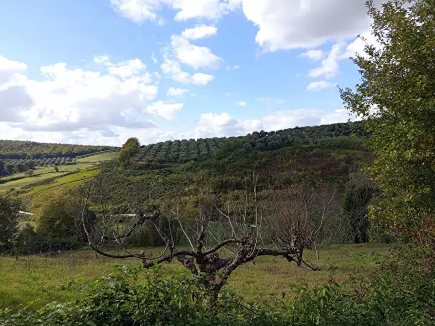 Immagine 12 di Rustico / casale in vendita  in Via Val Nerina a Mentana