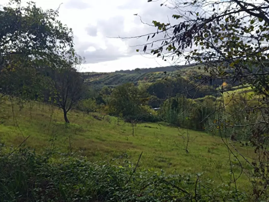 Immagine 13 di Rustico / casale in vendita  in Via Val Nerina a Mentana