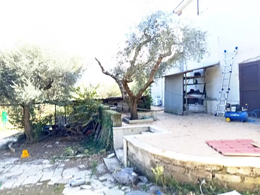 Immagine 7 di Casa indipendente in vendita  in Via Colle Mastarello 30 a Palombara Sabina