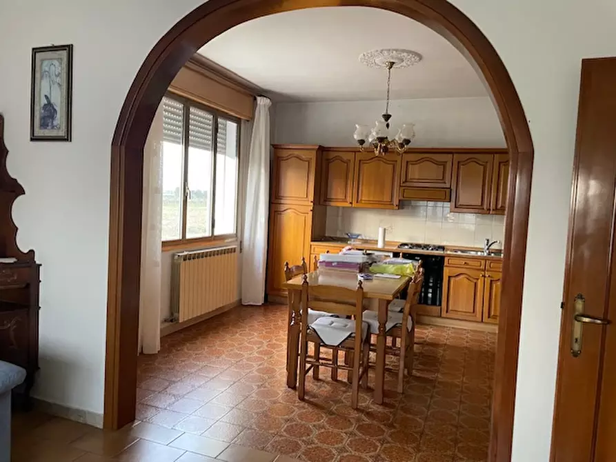 Immagine 3 di Casa bifamiliare in vendita  a Campolongo Maggiore