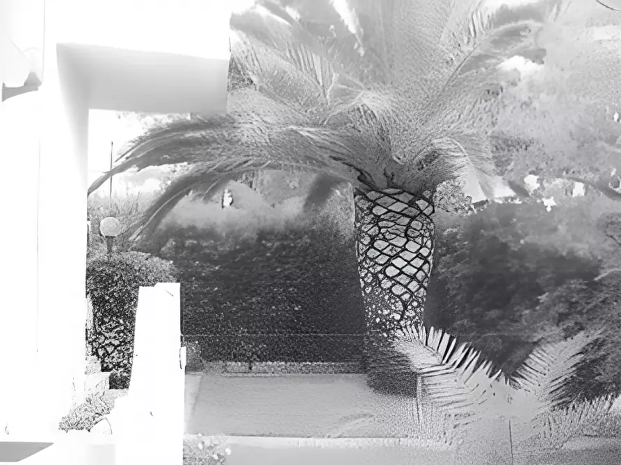 Immagine 12 di Appartamento in vendita  in via dei Marinai, Montauro a Catanzaro